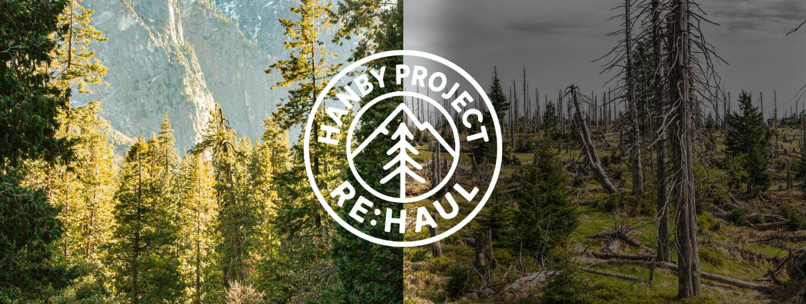 Two halves of a forest landscape with a 'Habitat Project Re:Haup' logo in the center.