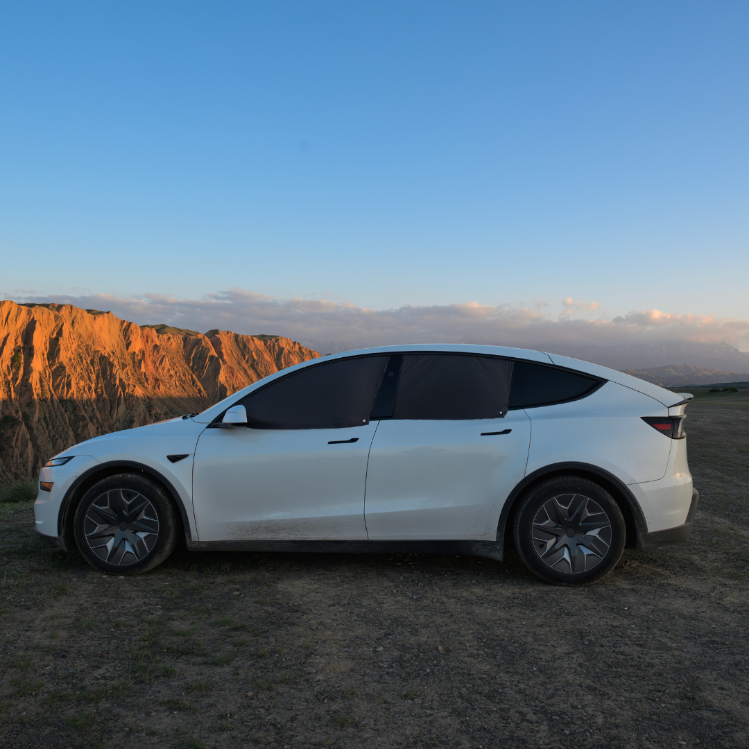DreamShade Car Window Sun Shade for Tesla Model Y/3