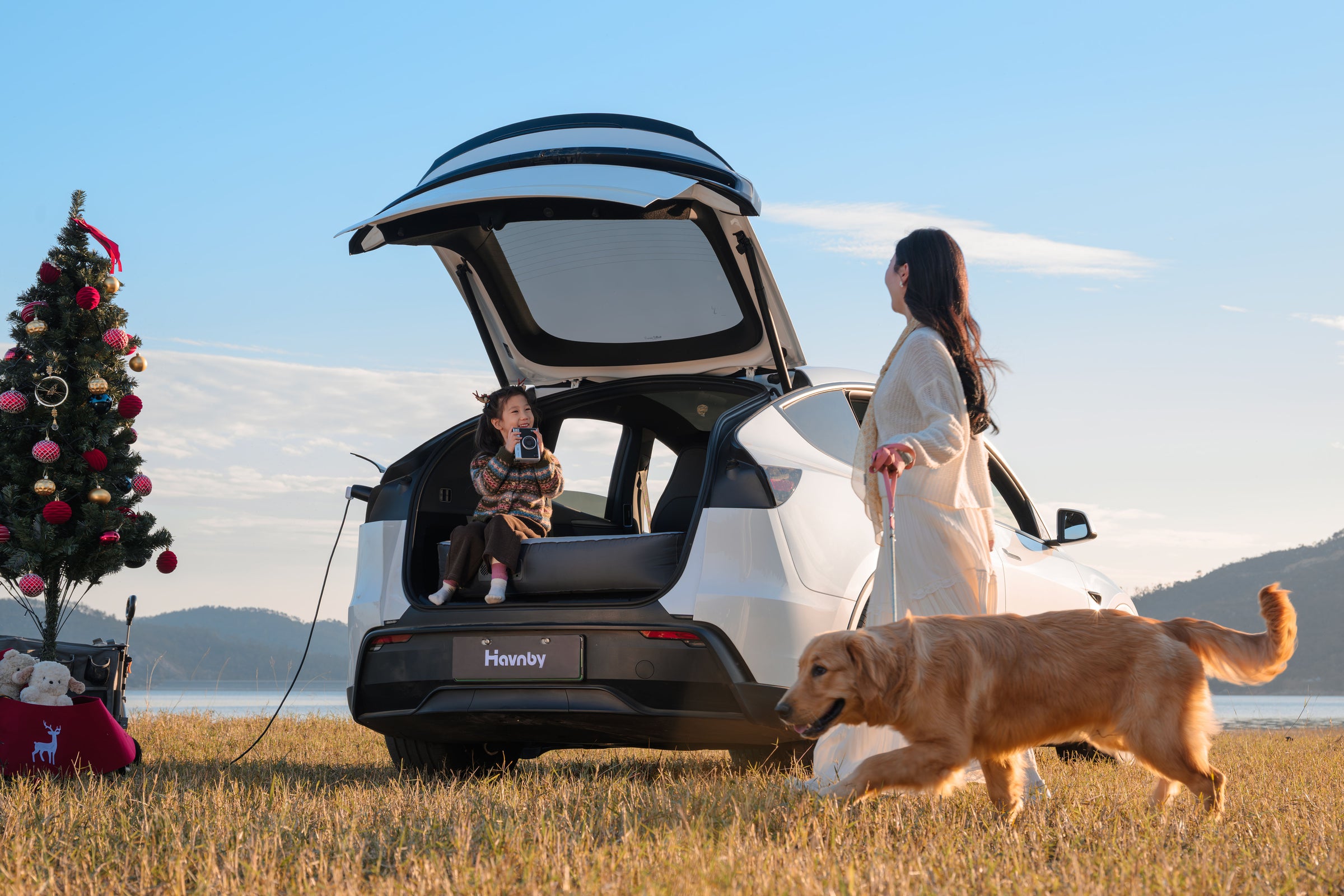 Model Y Foam Mattress Pro