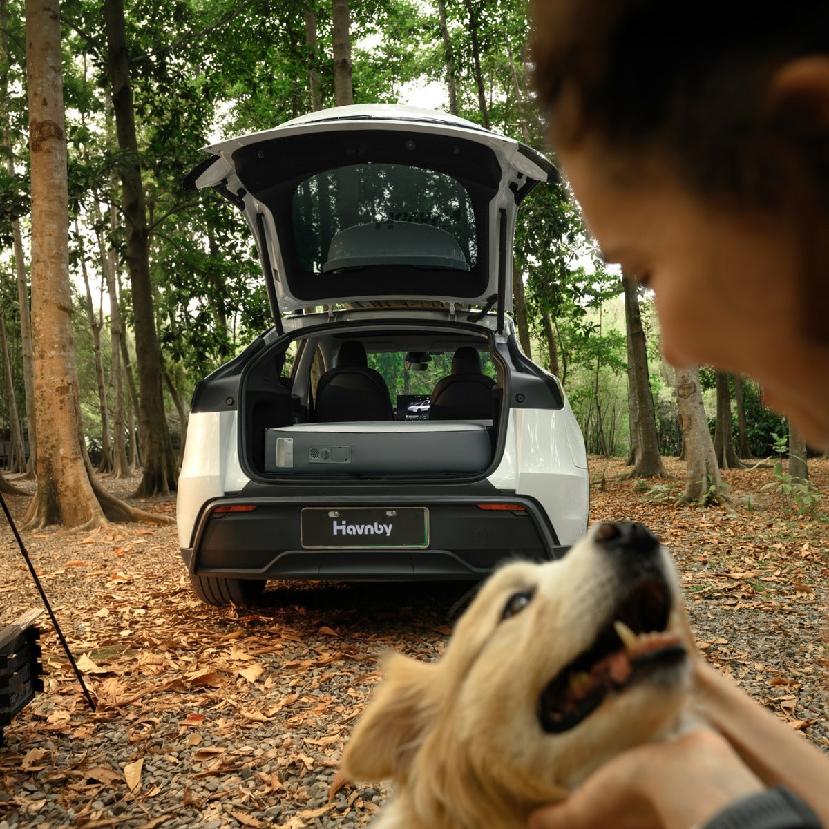 FlatCore Foam Mattress for Tesla Model Y