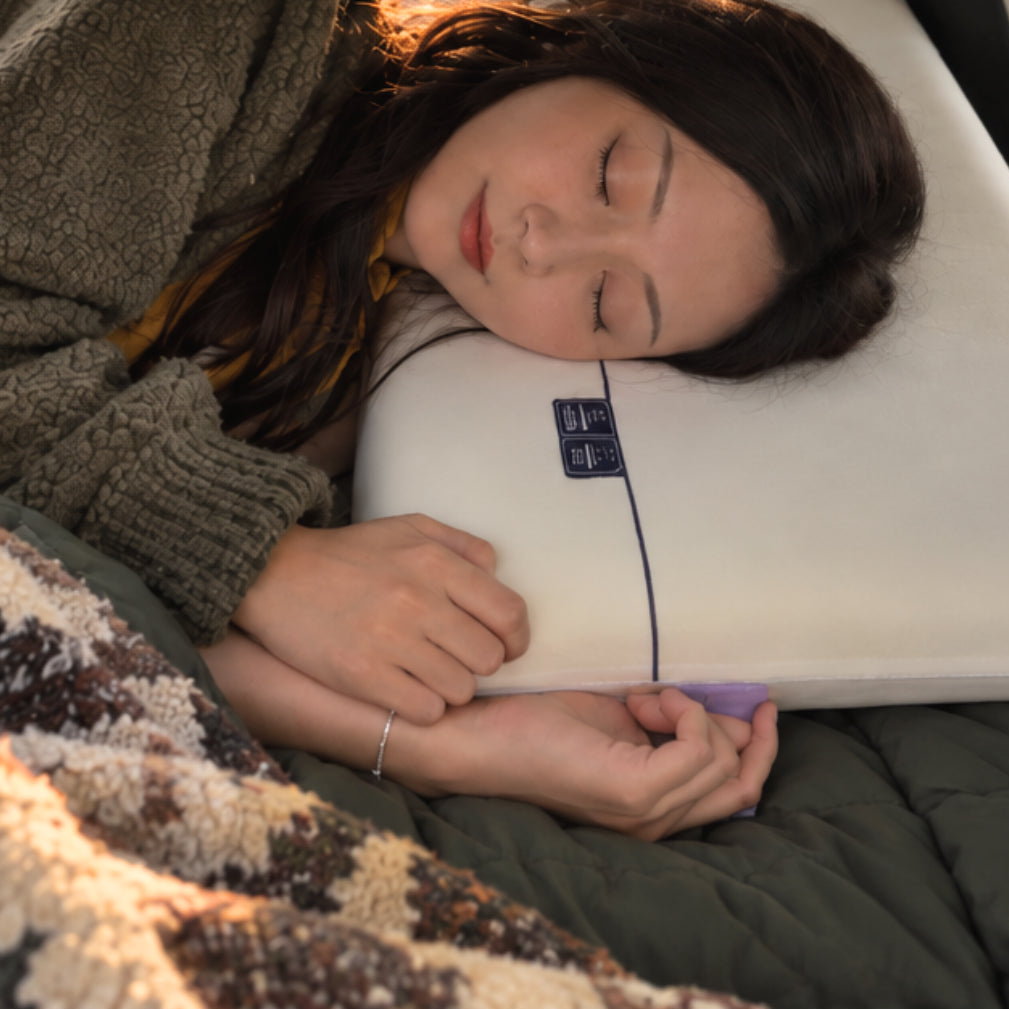 DreamShade gaasschermen voor autovenster